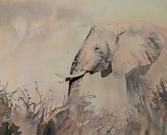 The Gentle Brush – Elephant Watercolour Workshop 3rd May 2025