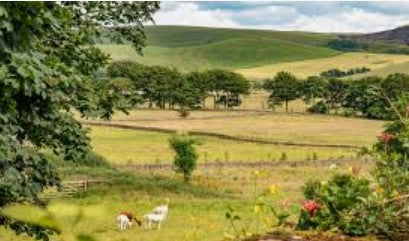 Painting Retreat -  Peak District National Park